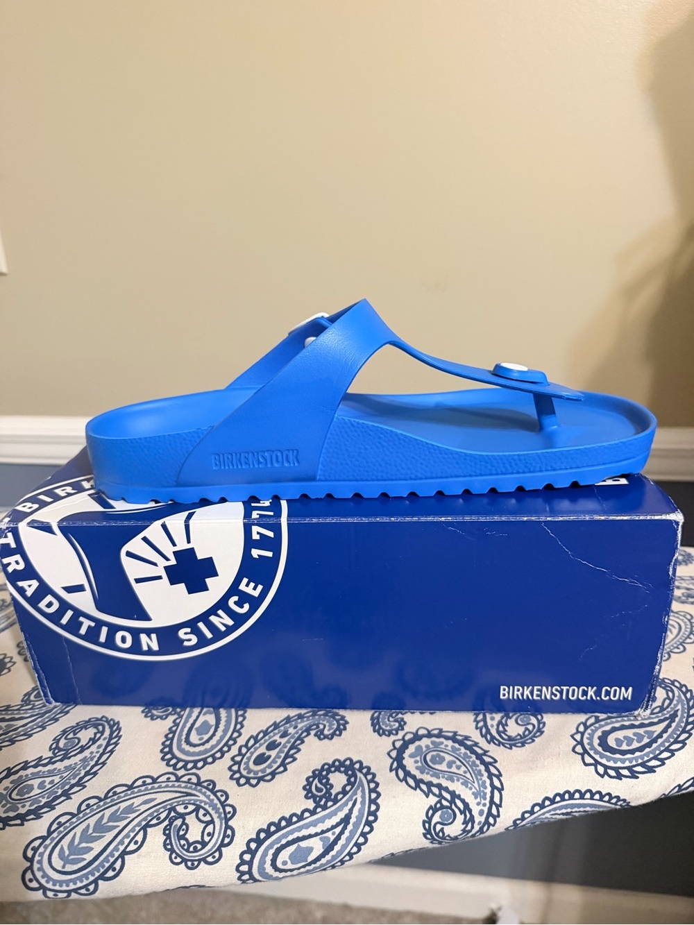 Birkenstock Blue EVA Thong Sandal - Water-Ready Footbed